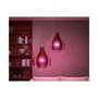 Voir la diapositive 2 : PHILIPS HUE White Ambiance 10.5W A60 E27 2set sw EU PMO