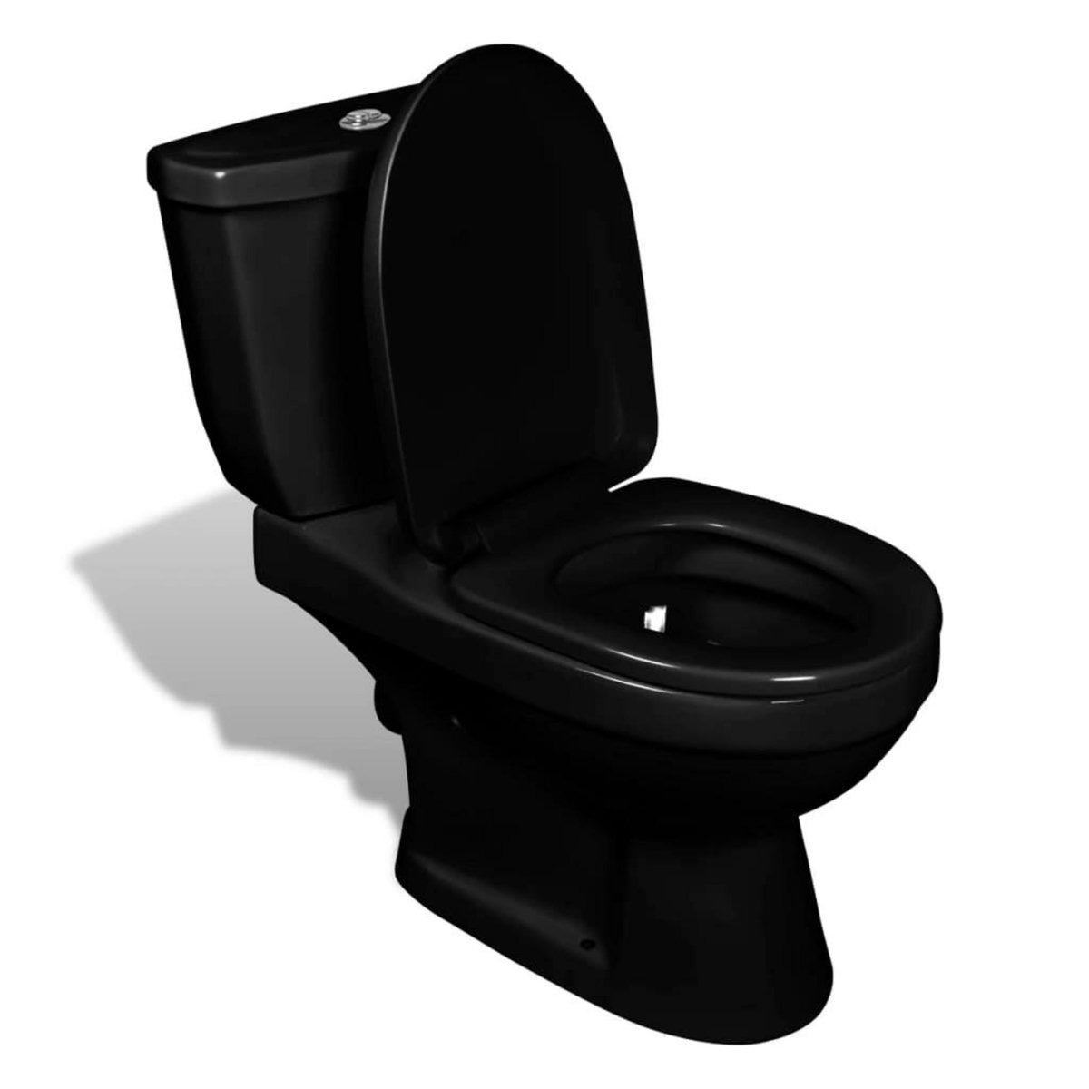 VIDAXL Toilette avec reservoir Noir