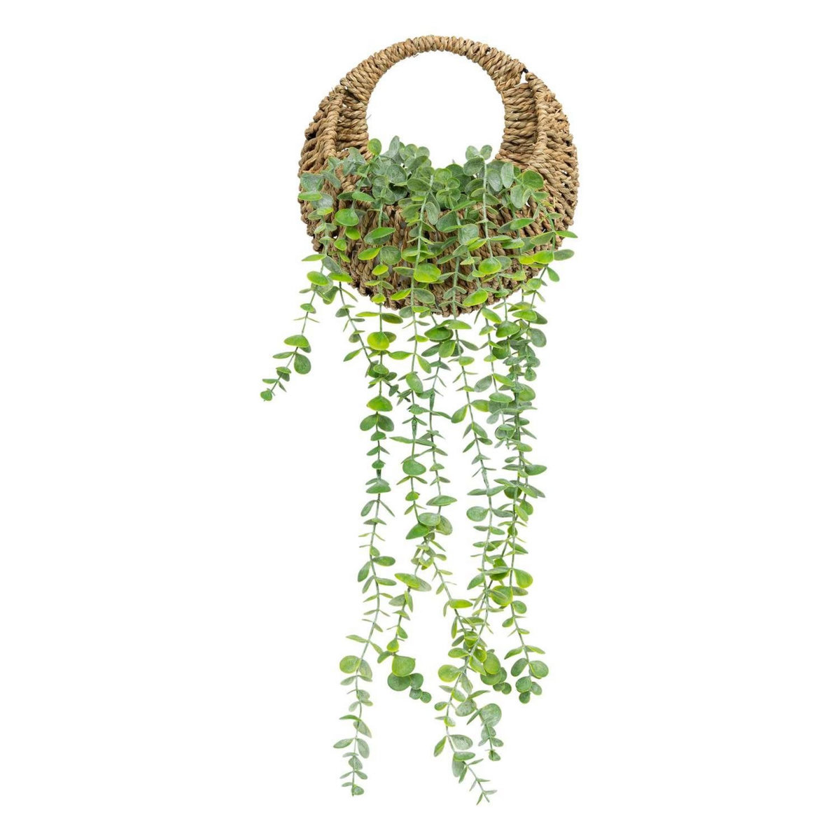 ATMOSPHERA Eucalyptus à suspendre avec pot naturel - H. 70 cm