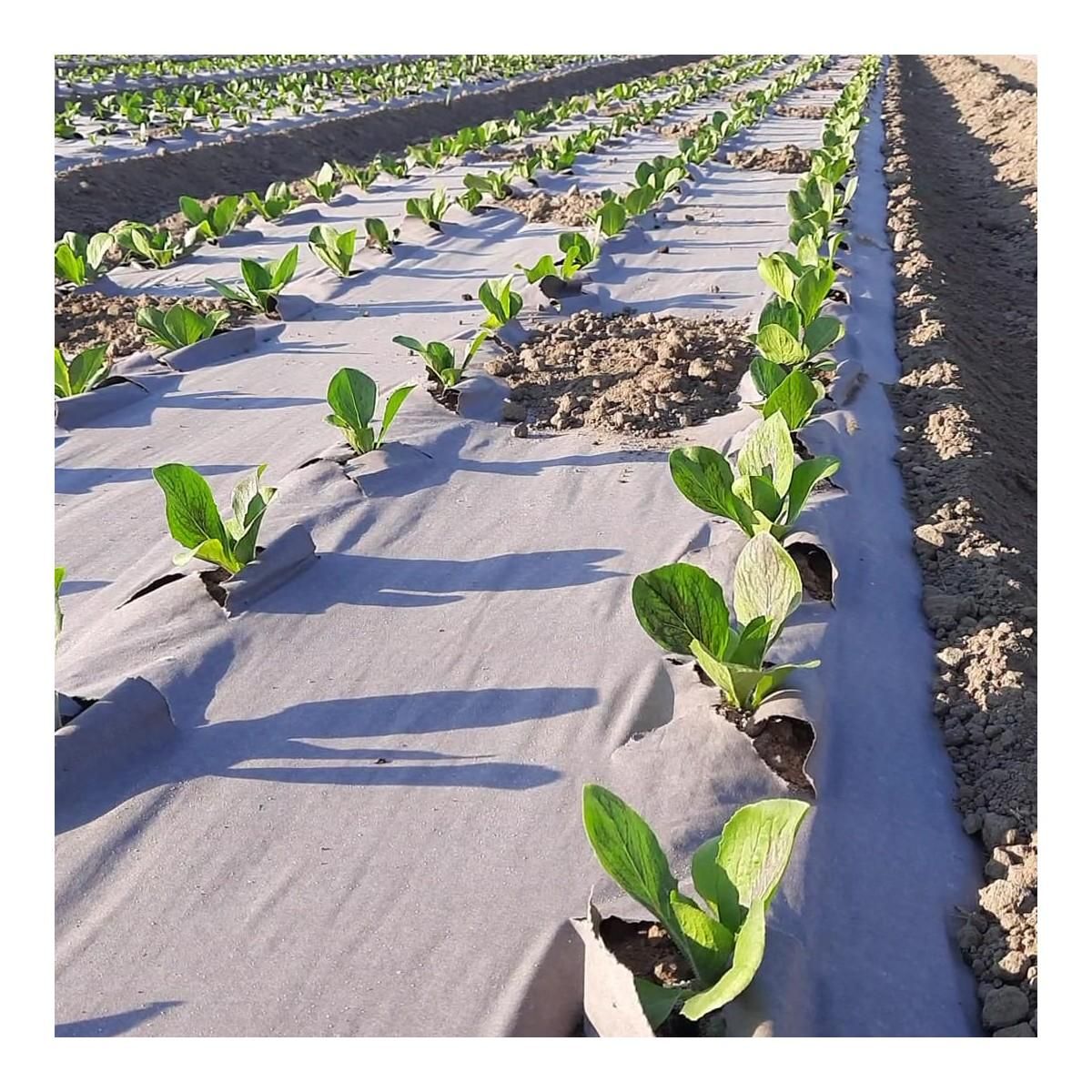 KZ GARDEN Toile de paillage Papier Kraft 0.9 x 300m Autodégradable Paillage pour Jardin Anti mauvaises herbes 100% Cellulose