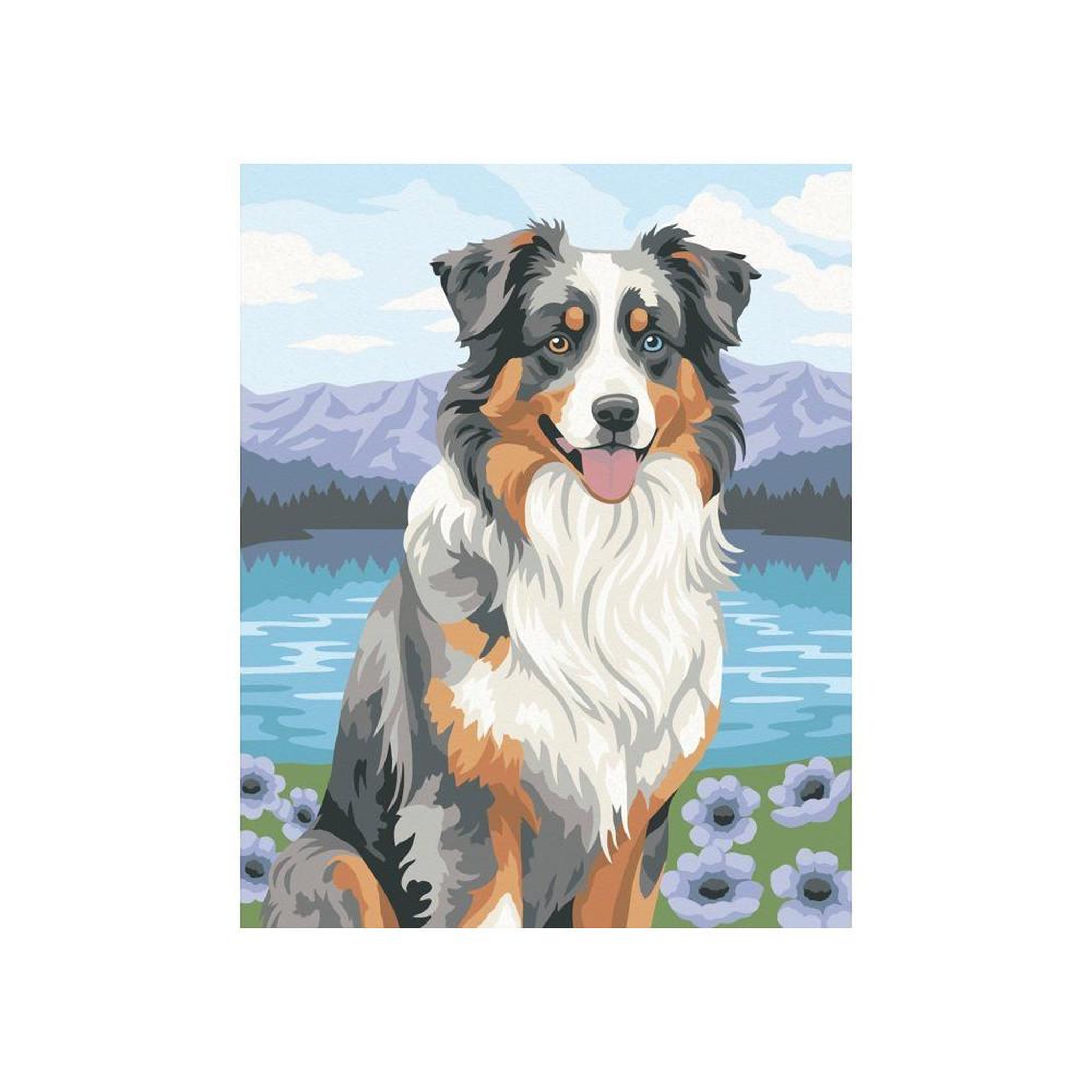 Voir la diapositive 3 : RAVENSBURGER Ravensburger – CreArt 24x30 cm – Adulte – Peinture par numéros – Berger Australien – Loisir créatif – 12023114
