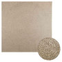 Voir la diapositive 1 : VIDAXL Tapis ZIZUR beige 240x240 cm aspect de jute interieur exterieur