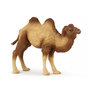 Voir la diapositive 1 : Papo 50129 Chameau de Bactriane -