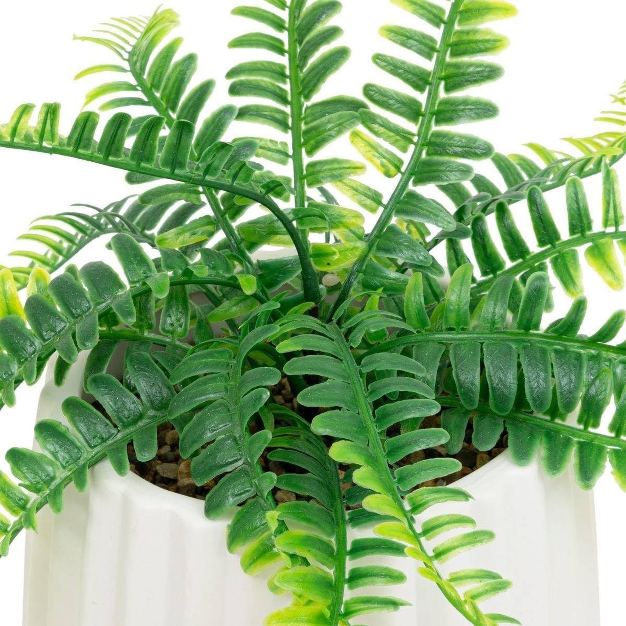 Voir la diapositive 2 : ATMOSPHERA Plante artificielle en pot  fougère  33cm blanc