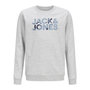 Voir la diapositive 2 : Jack & Jones Sweat Gris Garçon Jack & Jones Splash