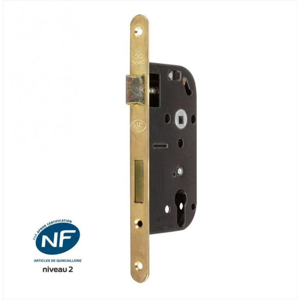 CENTRALE BRICO Serrure encastrée BRICARD certifiée NF, pour cylindre, axe 50 mm