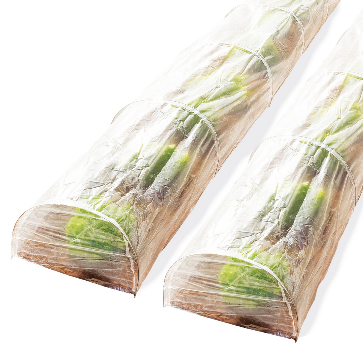 ID MARKET Lot de 2 tunnels de forçage accordéon 4M