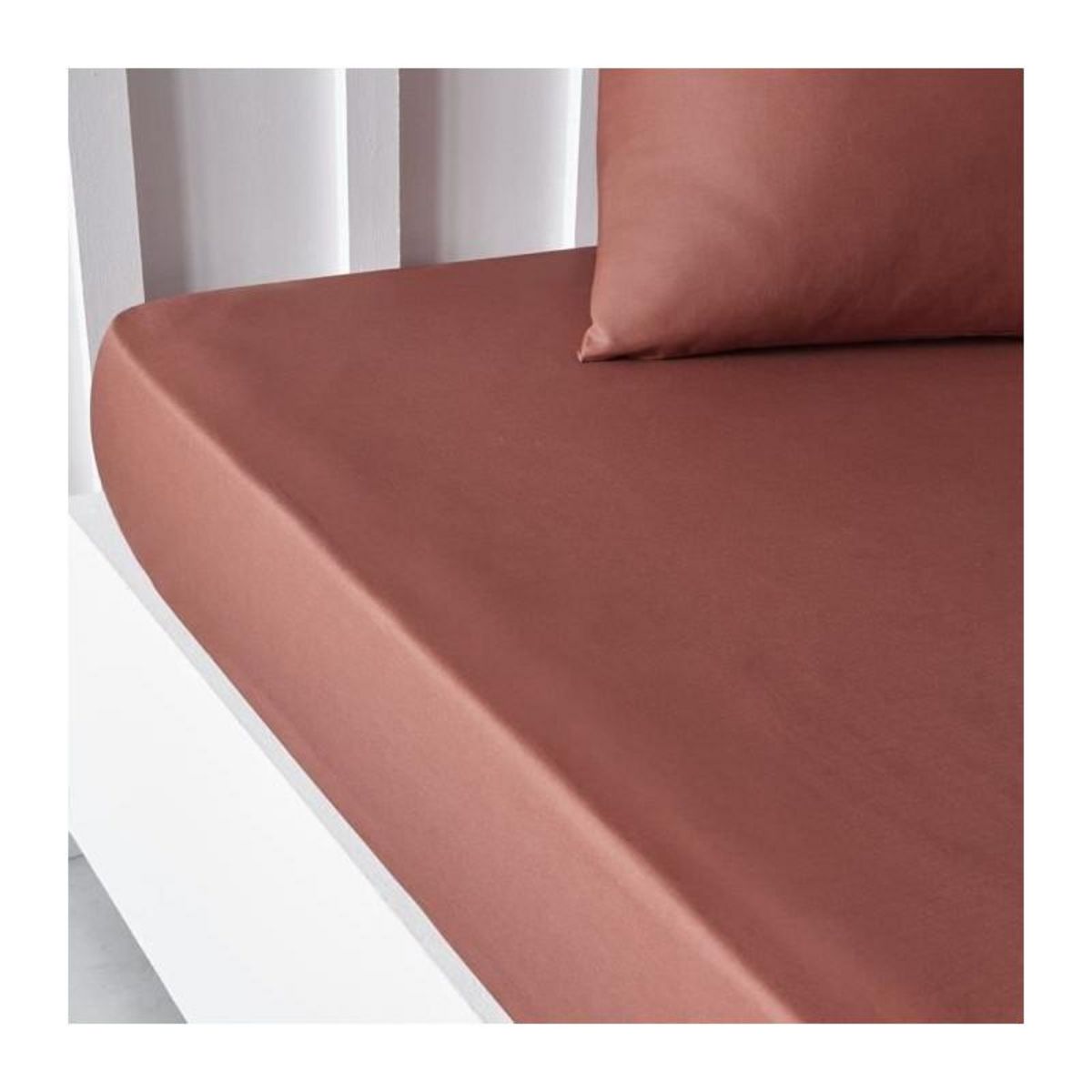 Today Drap housse TODAY Essential - 140 x 200+30 cm - 2 personnes - 100% Coton uni - Terracotta