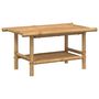 Voir la diapositive 2 : VIDAXL Table basse 70x40x35 cm bambou