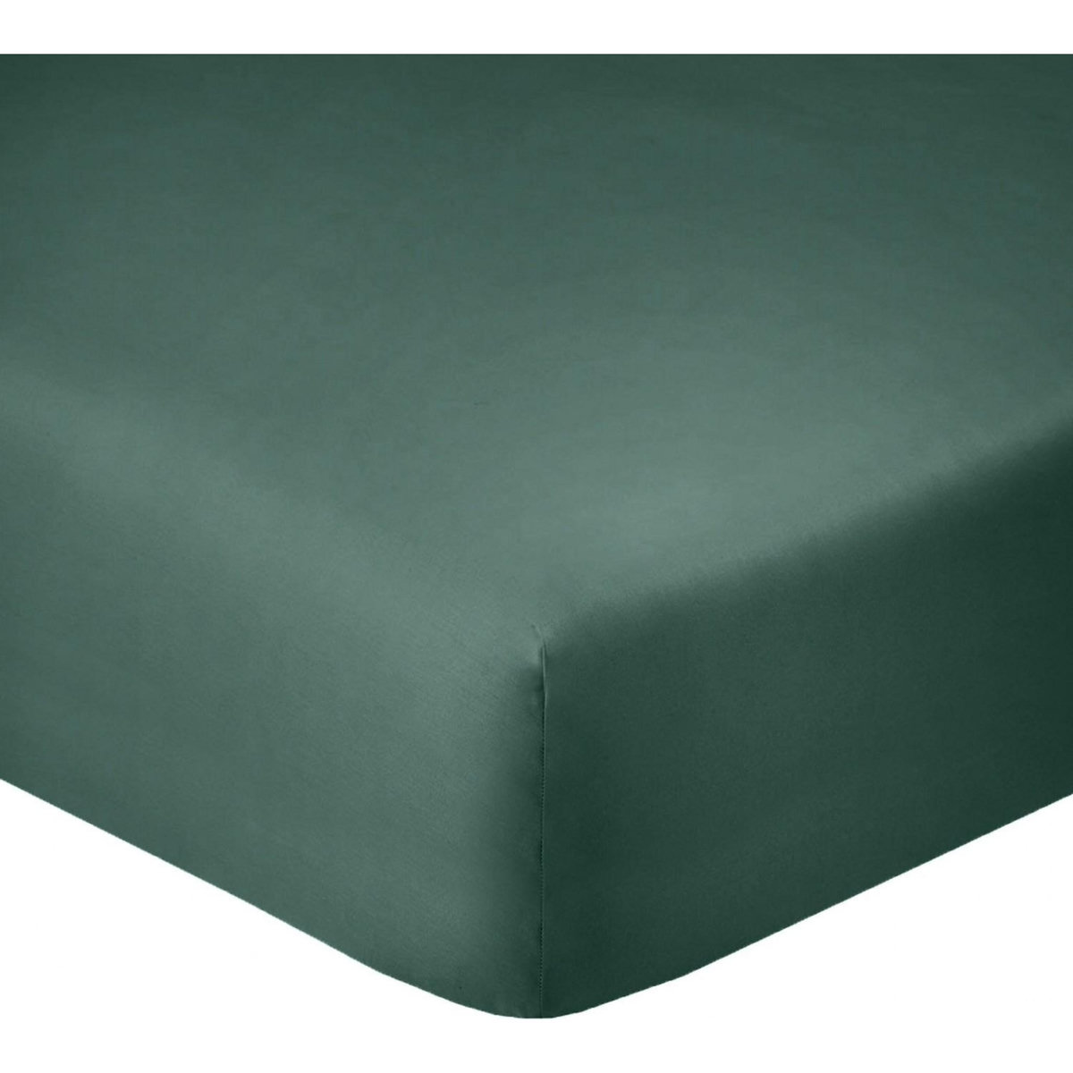 Home collection Drap housse 100% coton 57fils