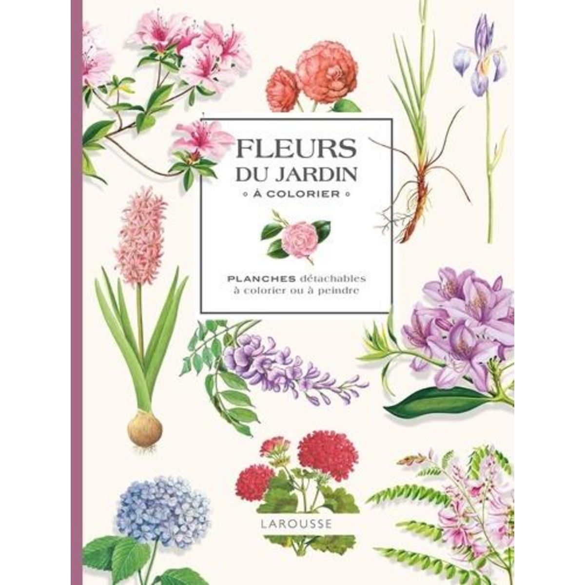 MES FLEURS DU JARDIN. A COLORIER, Larousse