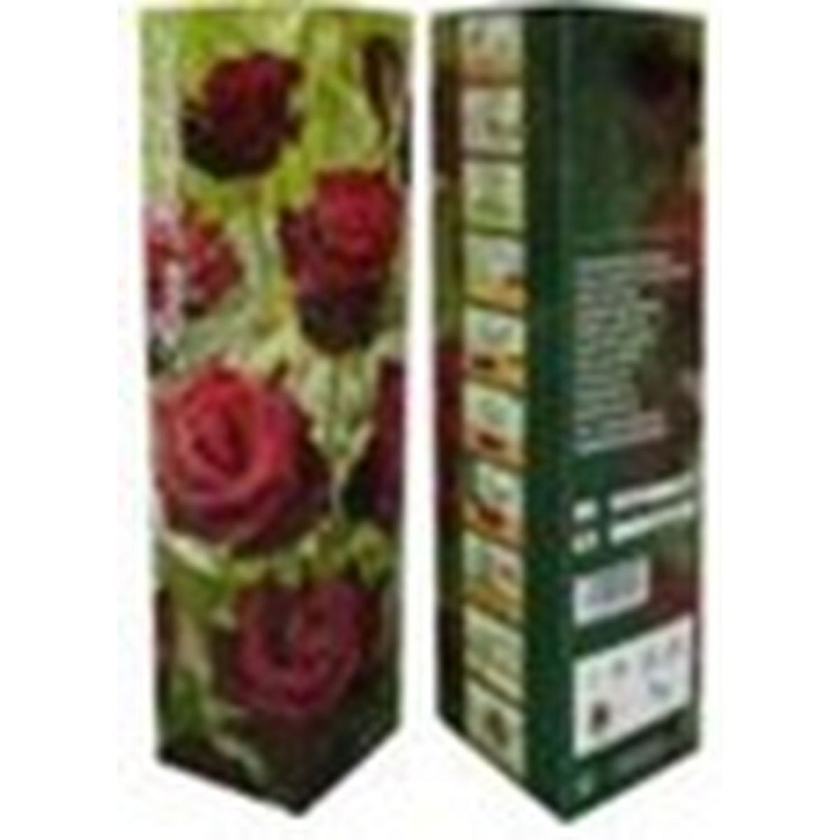 Rosier buisson dame de coeur rouge