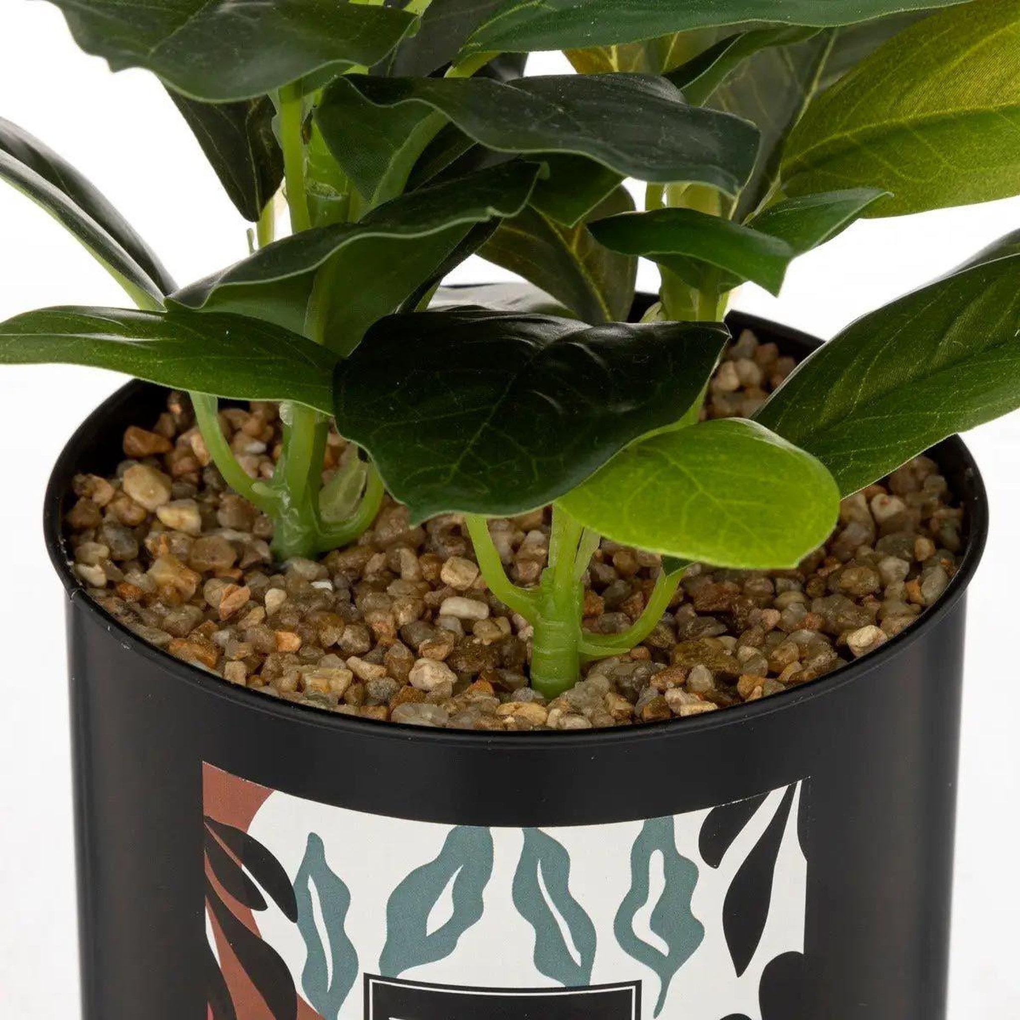 Voir la diapositive 2 : ATMOSPHERA Plante artificielle en pot  cosy  20cm noir & vert