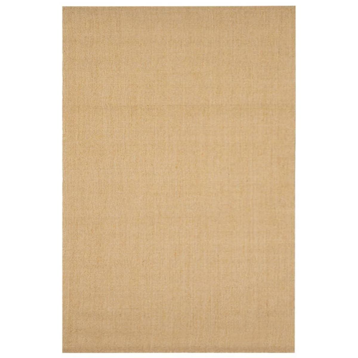 VIDAXL Tapis Sisal naturel 100x150 cm