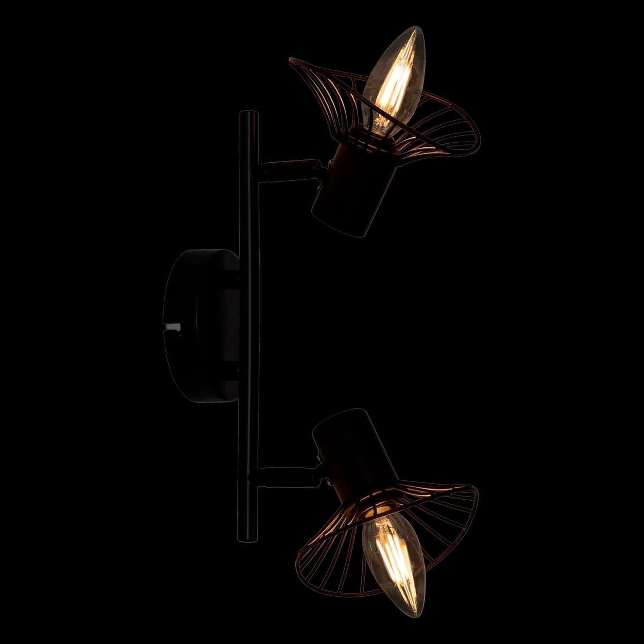 Voir la diapositive 5 : ATMOSPHERA Plafonnier 2 lampes orientables en métal  adelia  28cm noir
