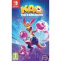 Voir la diapositive 1 : Kao The Kangaroo Nintendo Switch