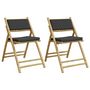 Voir la diapositive 2 : VIDAXL Chaises de bistro pliantes lot de 2 coussins gris fonce bambou