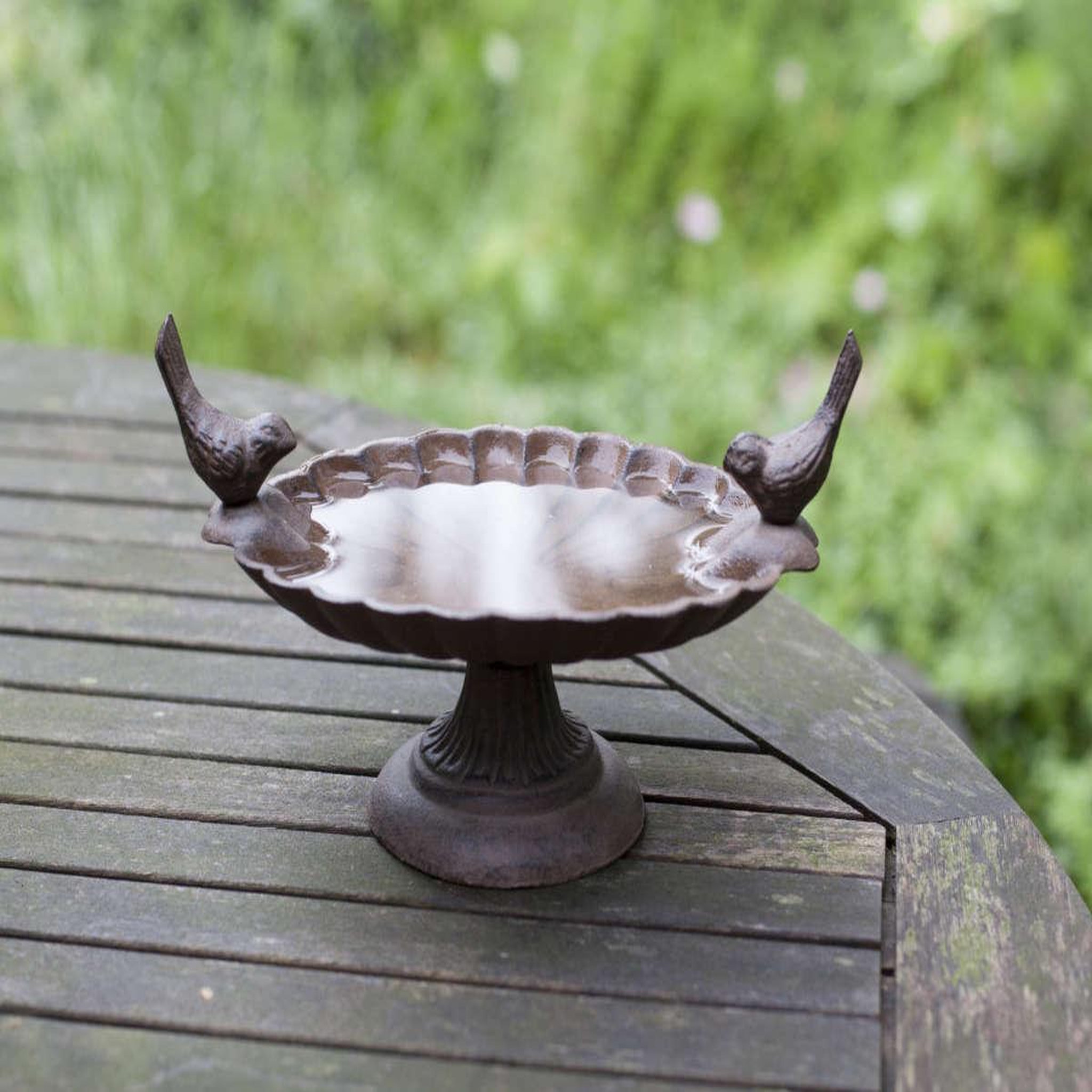 Voir la diapositive 3 : ESSCHERT DESIGN Plateau de graines les oiseaux - esschert design