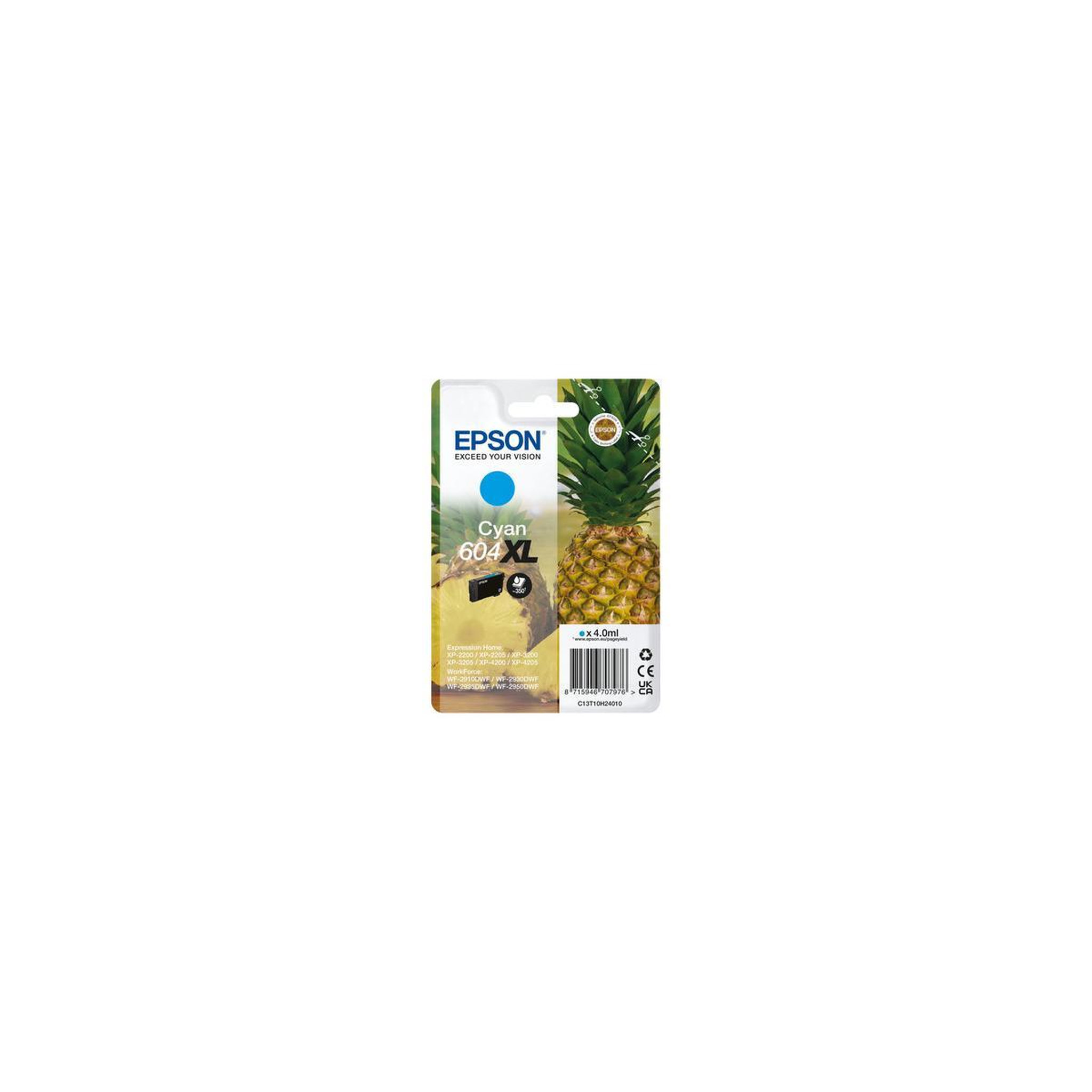 Voir la diapositive 2 : Epson Consommable EPSON C13T10H24010