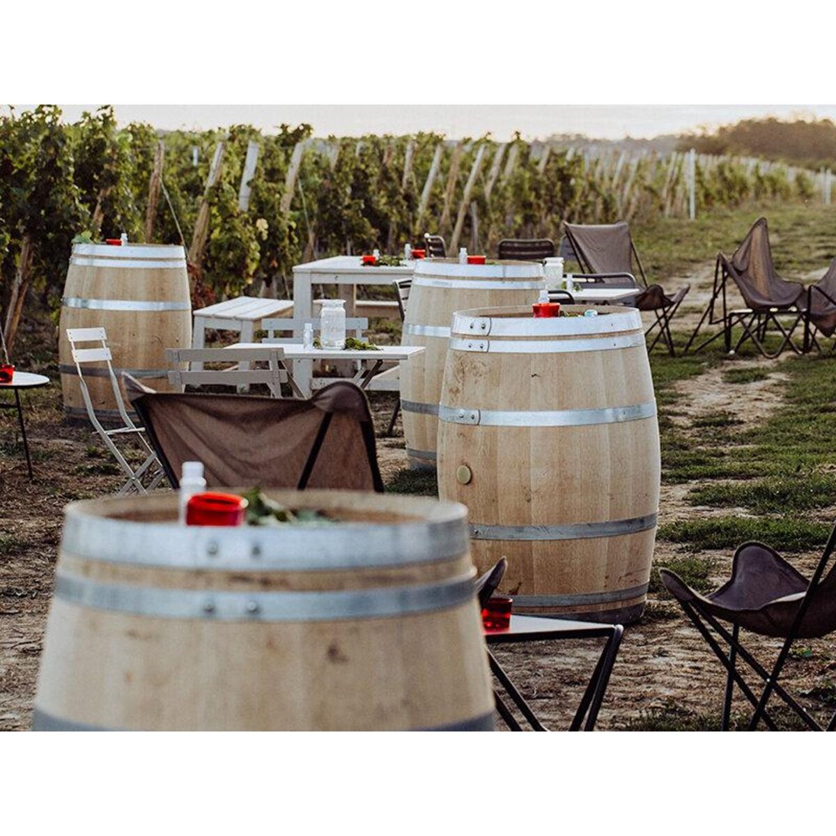 Smartbox Visite et dégustation de vins en duo près de Versailles - Coffret Cadeau Gastronomie