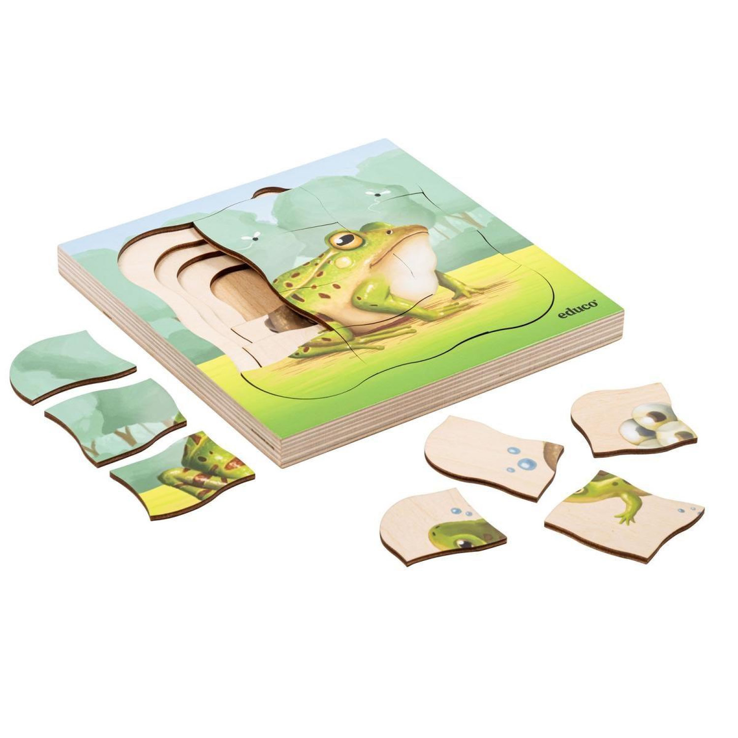 Puzzle À Étages Educo Groeigeheim Grenouille 31 Pièces - vue 2