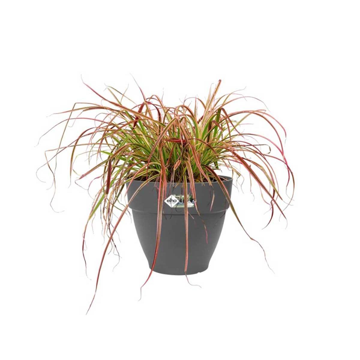 ELHO Pot de fleurs rond Vibia Campana - Ø 47 x H.40 cm - Anthracite - Elho