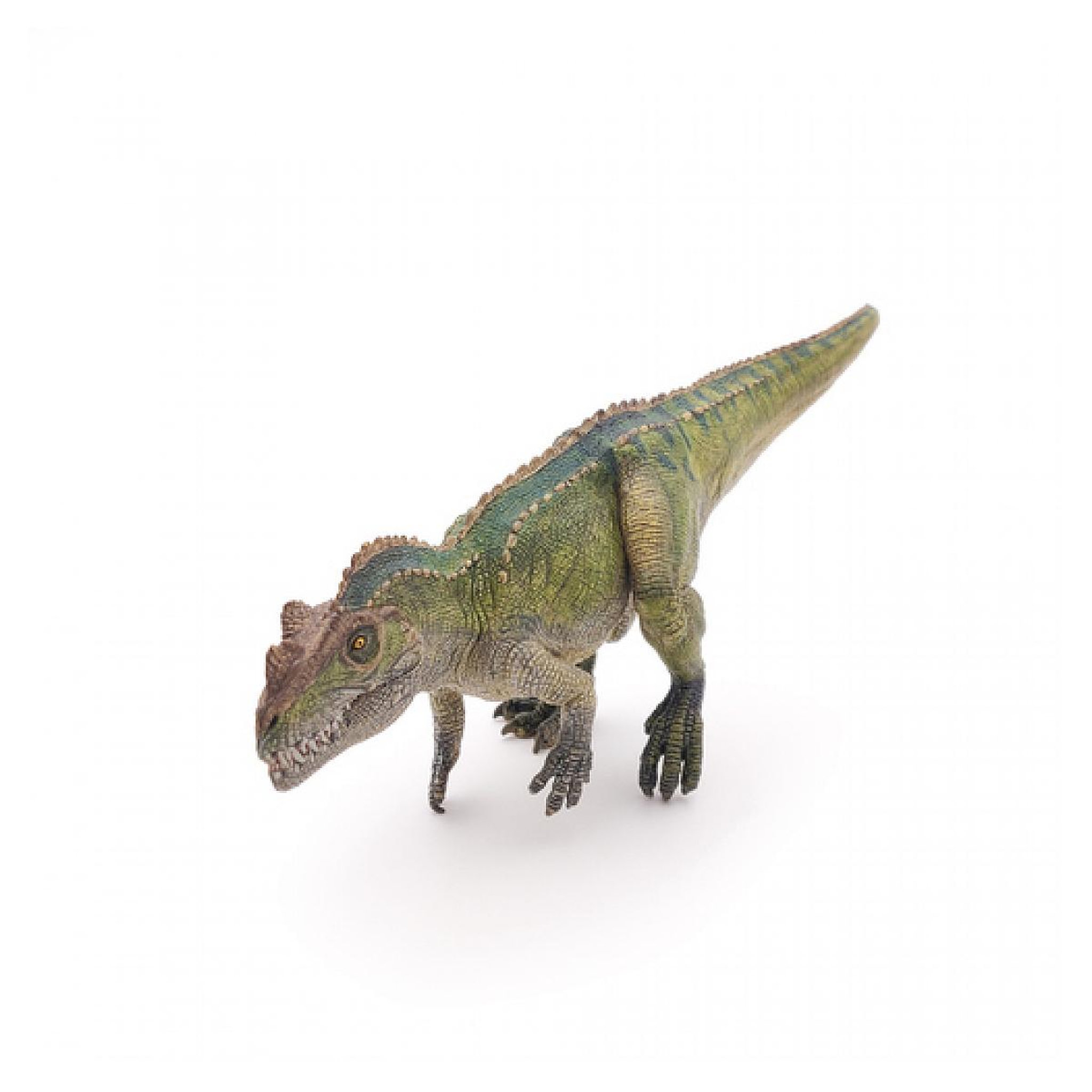Voir la diapositive 3 : Papo 55061 Ceratosaurus  Figruine a collectionner