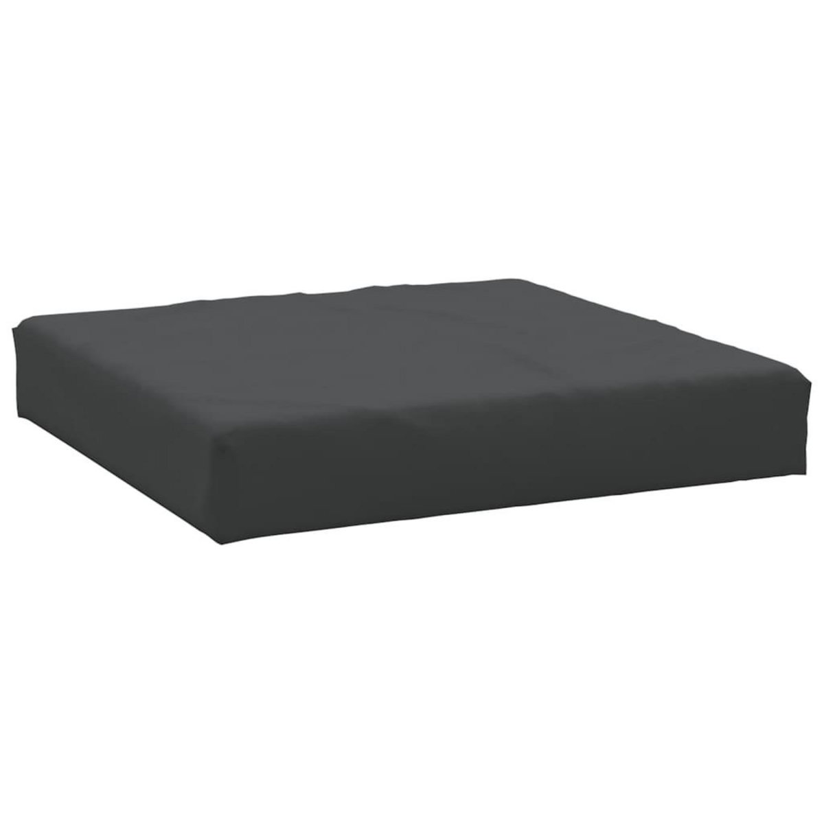 VIDAXL Coussins de palette lot de 2 noir tissu oxford