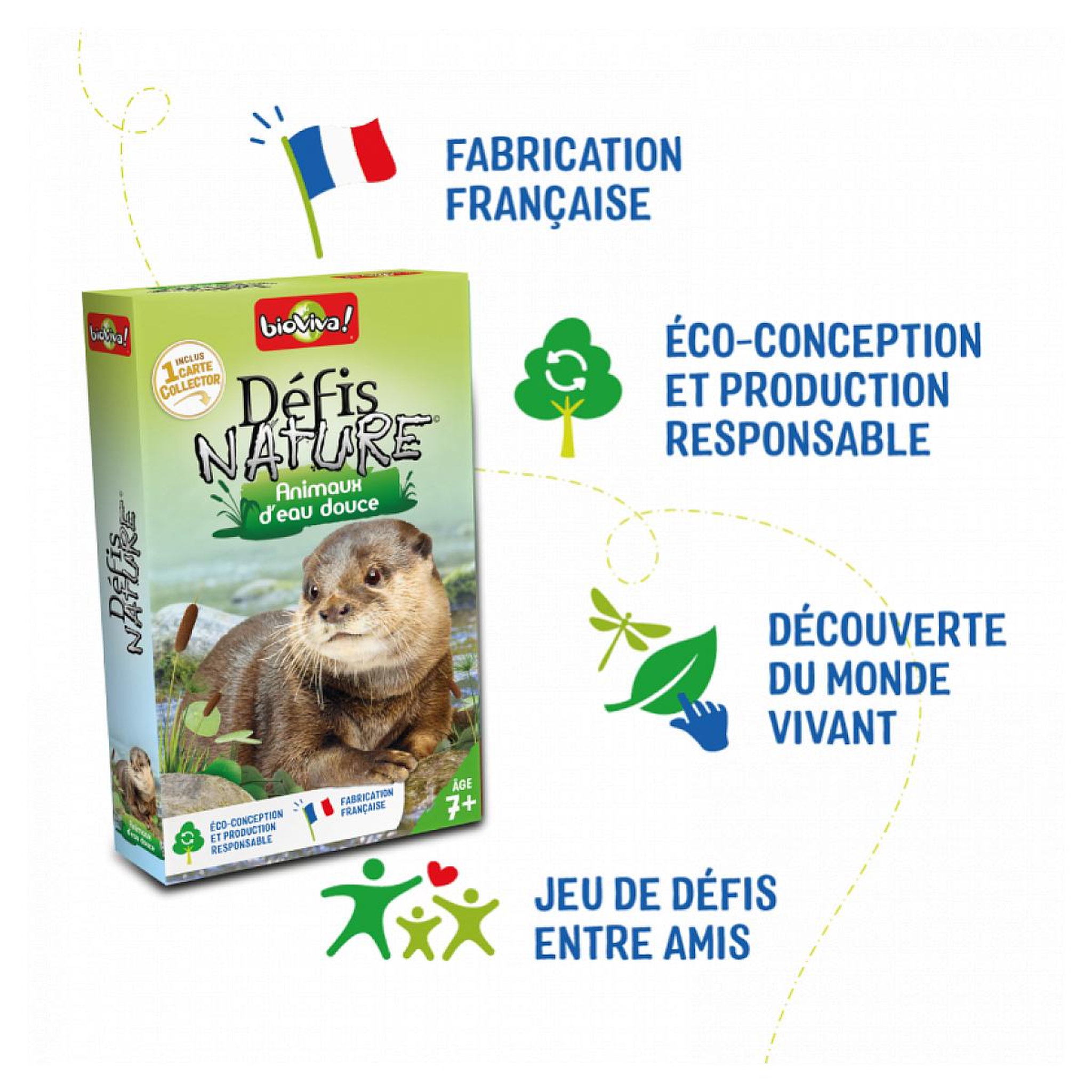 Voir la diapositive 4 : Bioviva Défis nature animaux d'eau douce