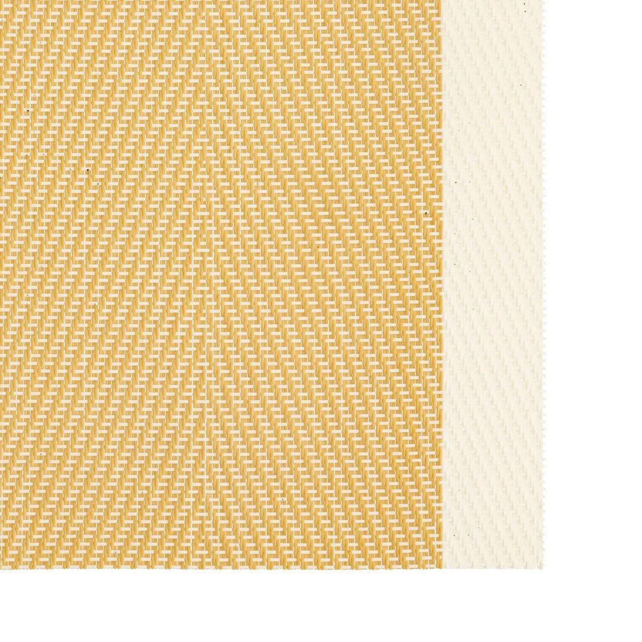 Voir la diapositive 2 : SECRET DE GOURMET Set de table  jake  30x45cm jaune