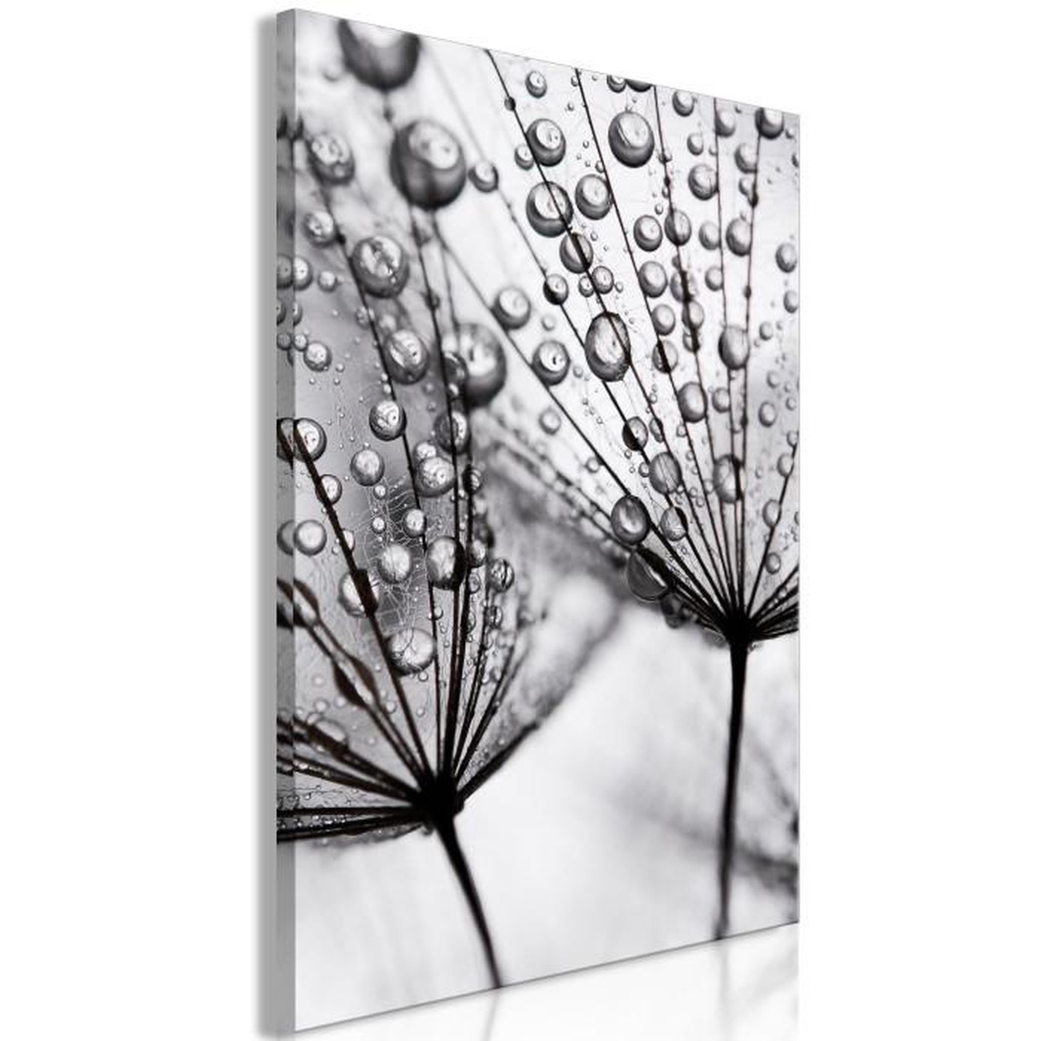 Paris Prix Tableau Imprimé  Morning Dew. Coloris disponibles : Multicolore