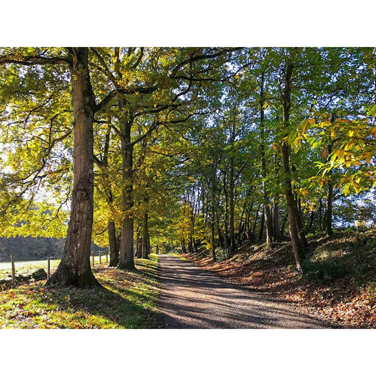 Smartbox Séjour de 3 jours avec dîner et balade à vélo près d'Angers - Coffret Cadeau Séjour