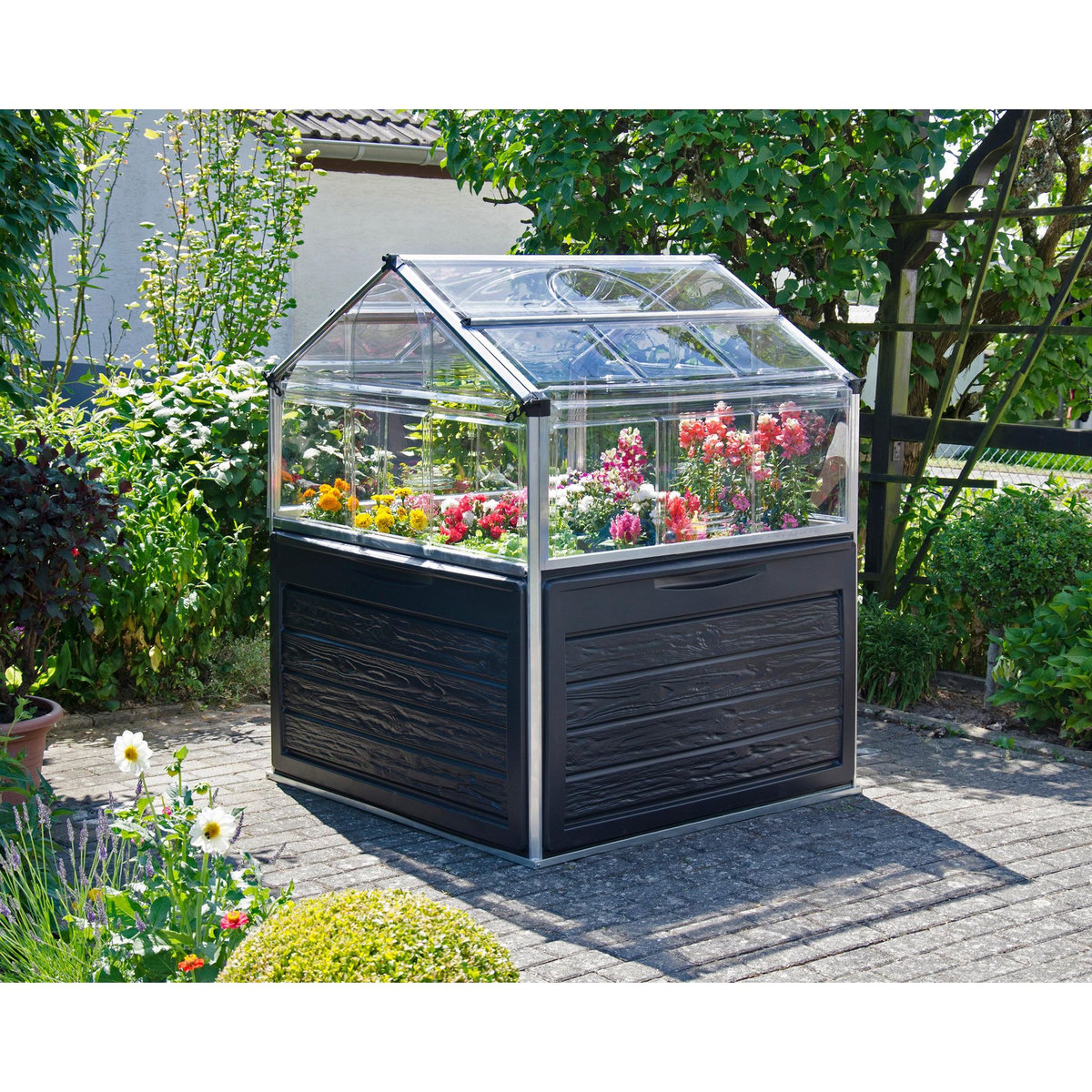 Canopia by PALRAM Mini-serre de jardin - Polycarbonate - 1,4m² - PLANT INN