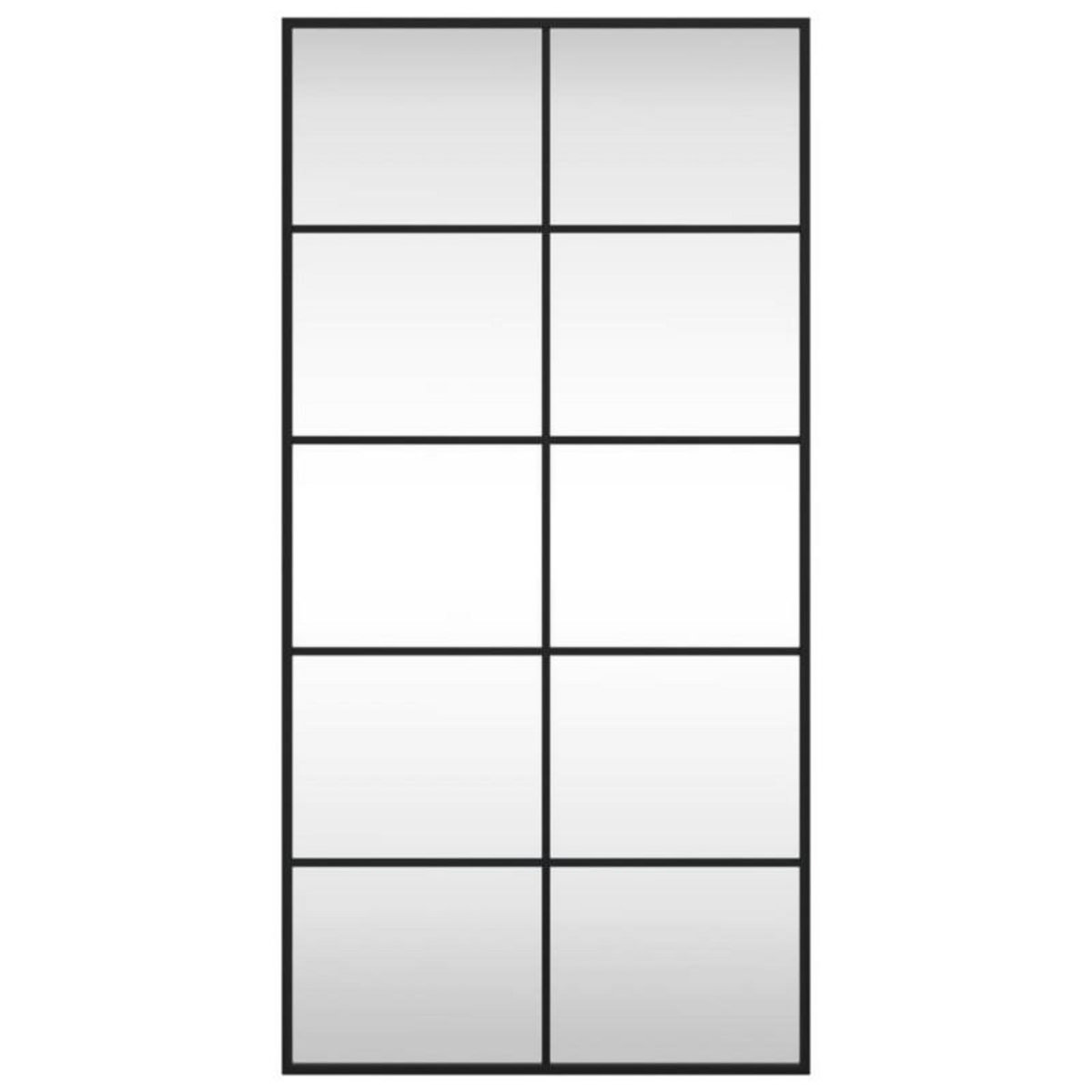 VIDAXL Miroir mural noir 50x100 cm rectangulaire fer
