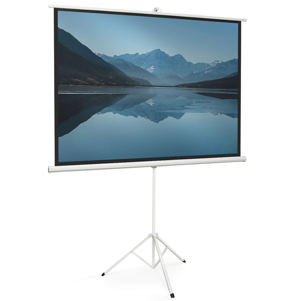 ID MARKET Ecran de projection 84 pouces avec support trépied hauteur réglable