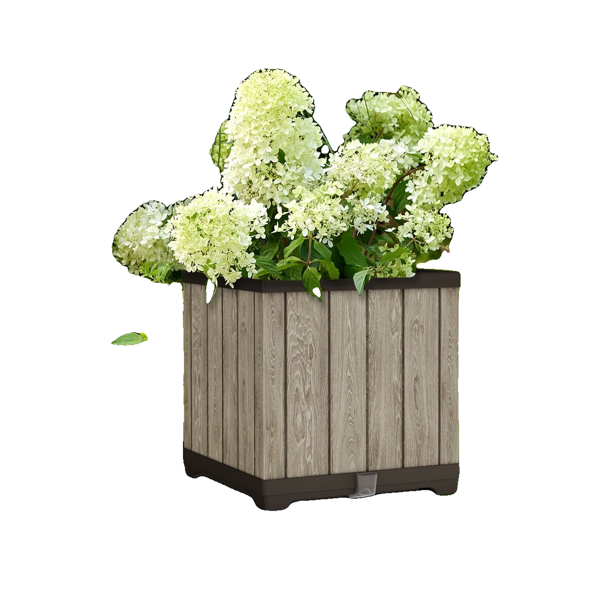 Voir la diapositive 6 : Keter Pot de fleurs Keter 262635 caractéristique en bois