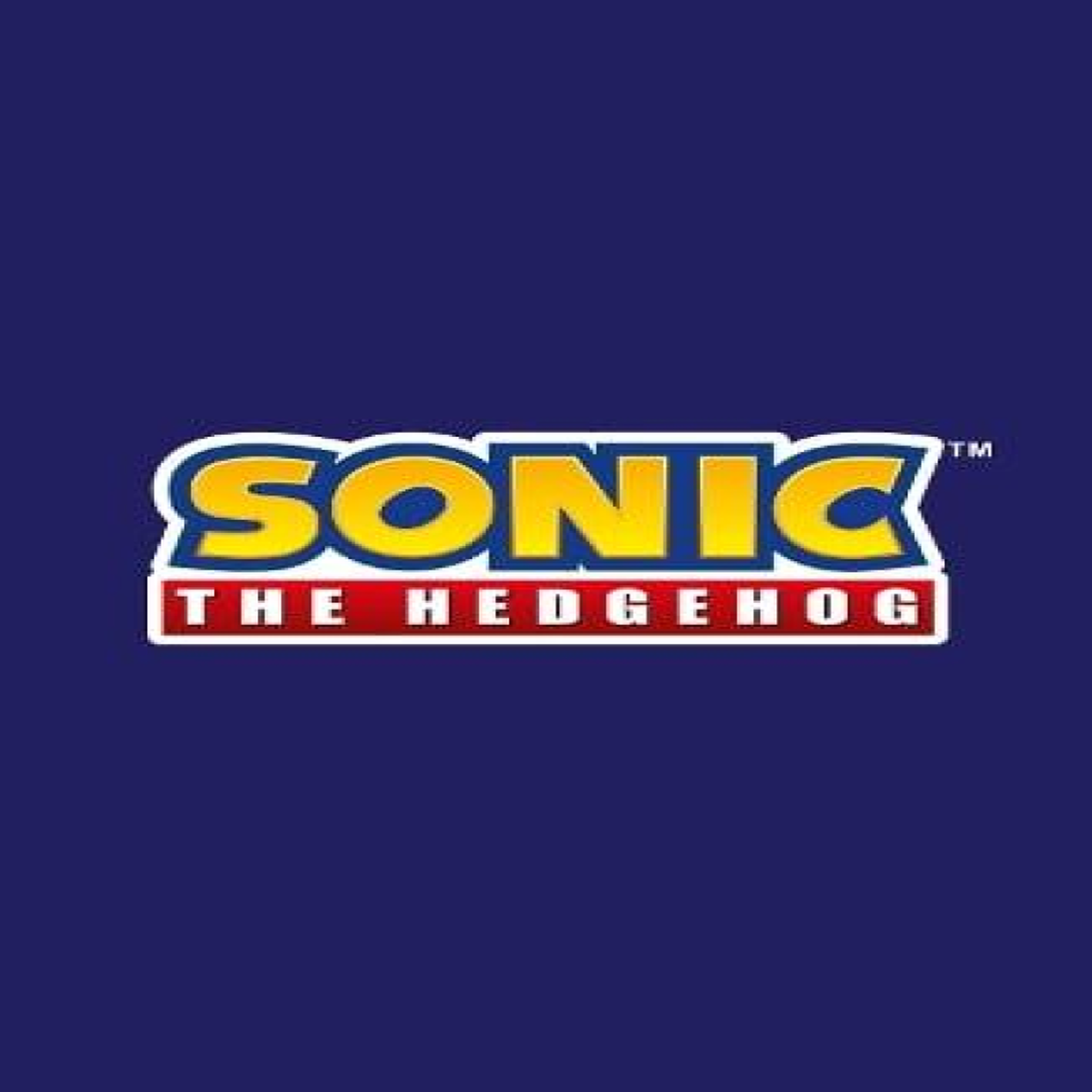 LIVRES Sonic the Hedgehog Search & Find Mission