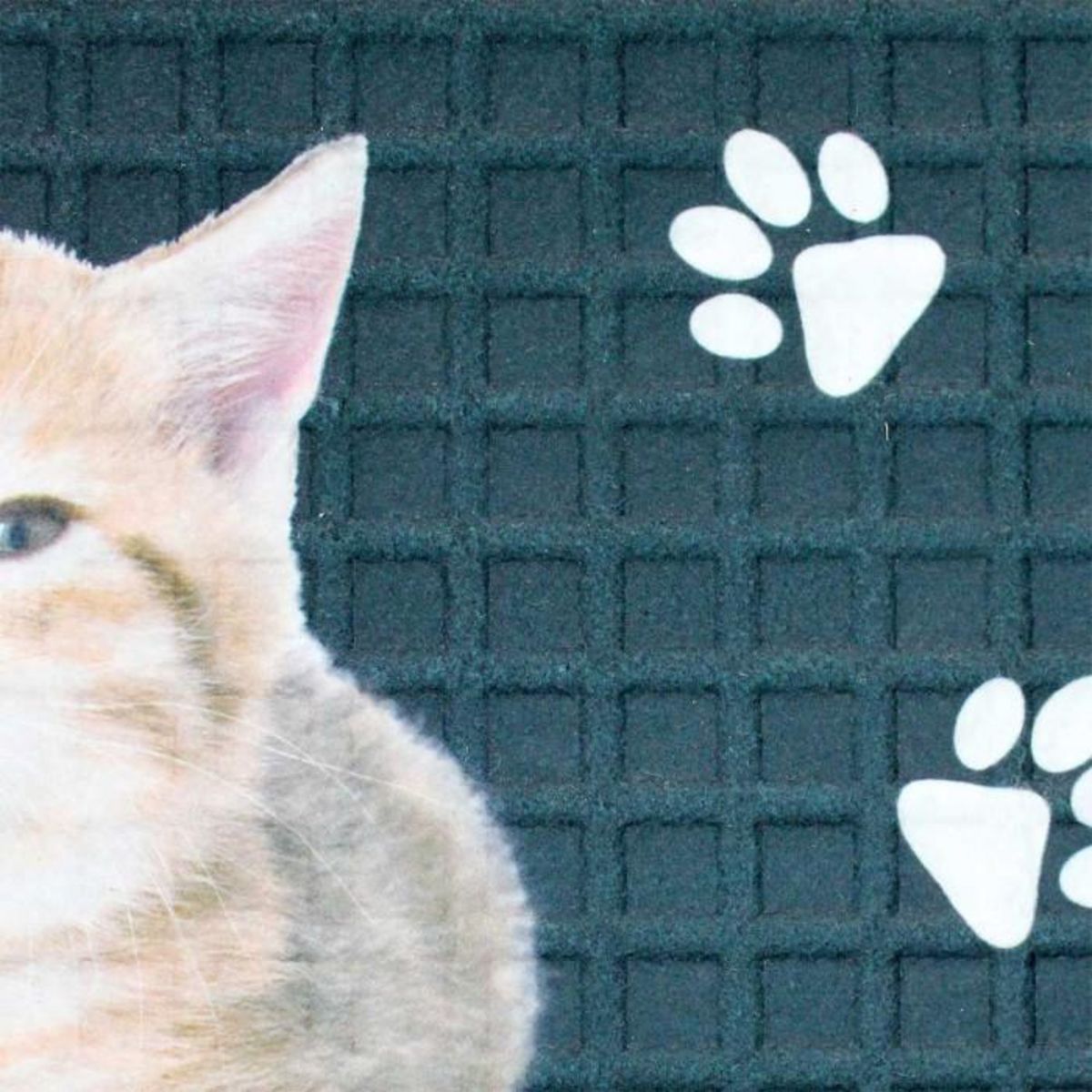 Paris Prix Tapis Relief Imprimé  Chalut  45x75cm Bleu