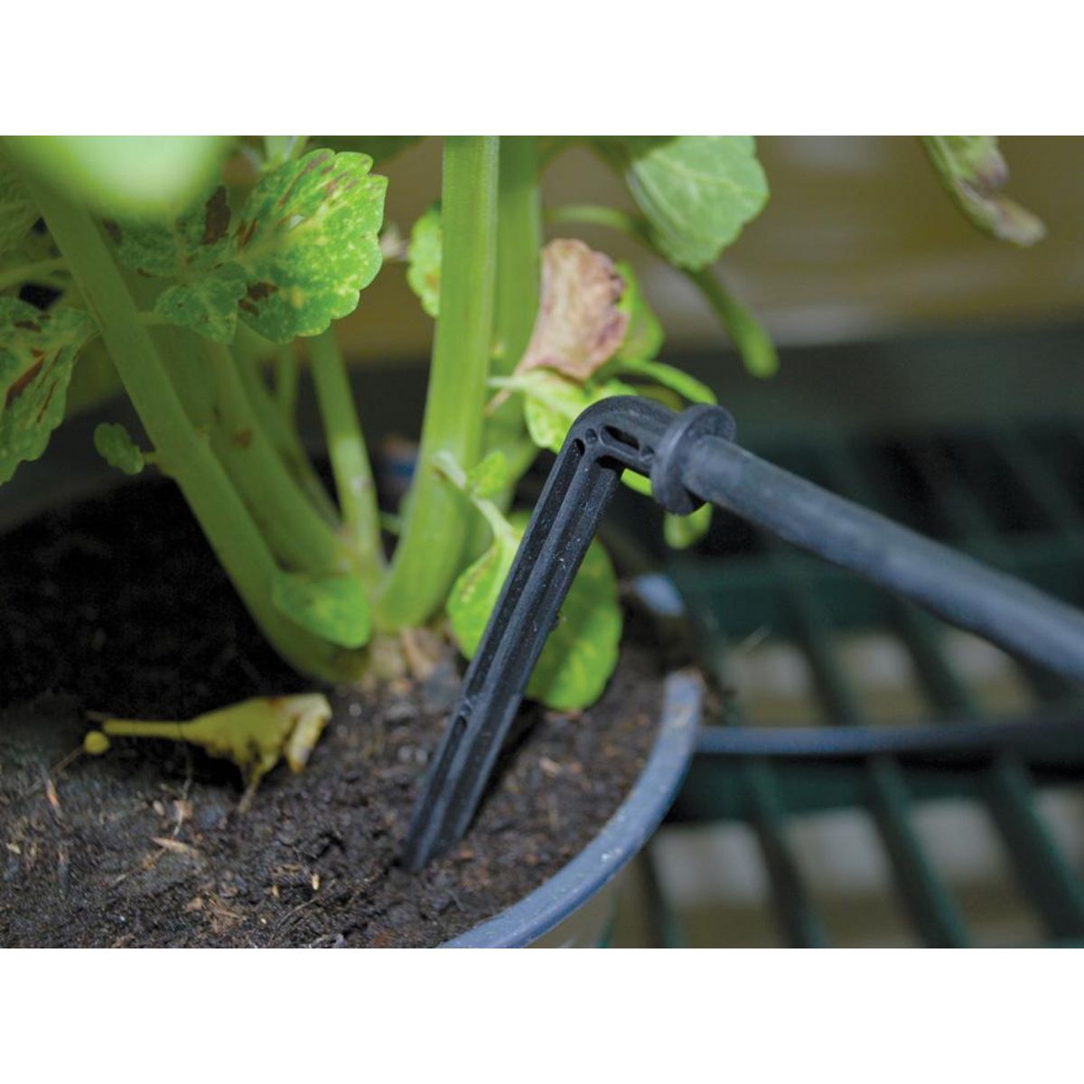 Habitat et Jardin Kit d'irrigation pour serre