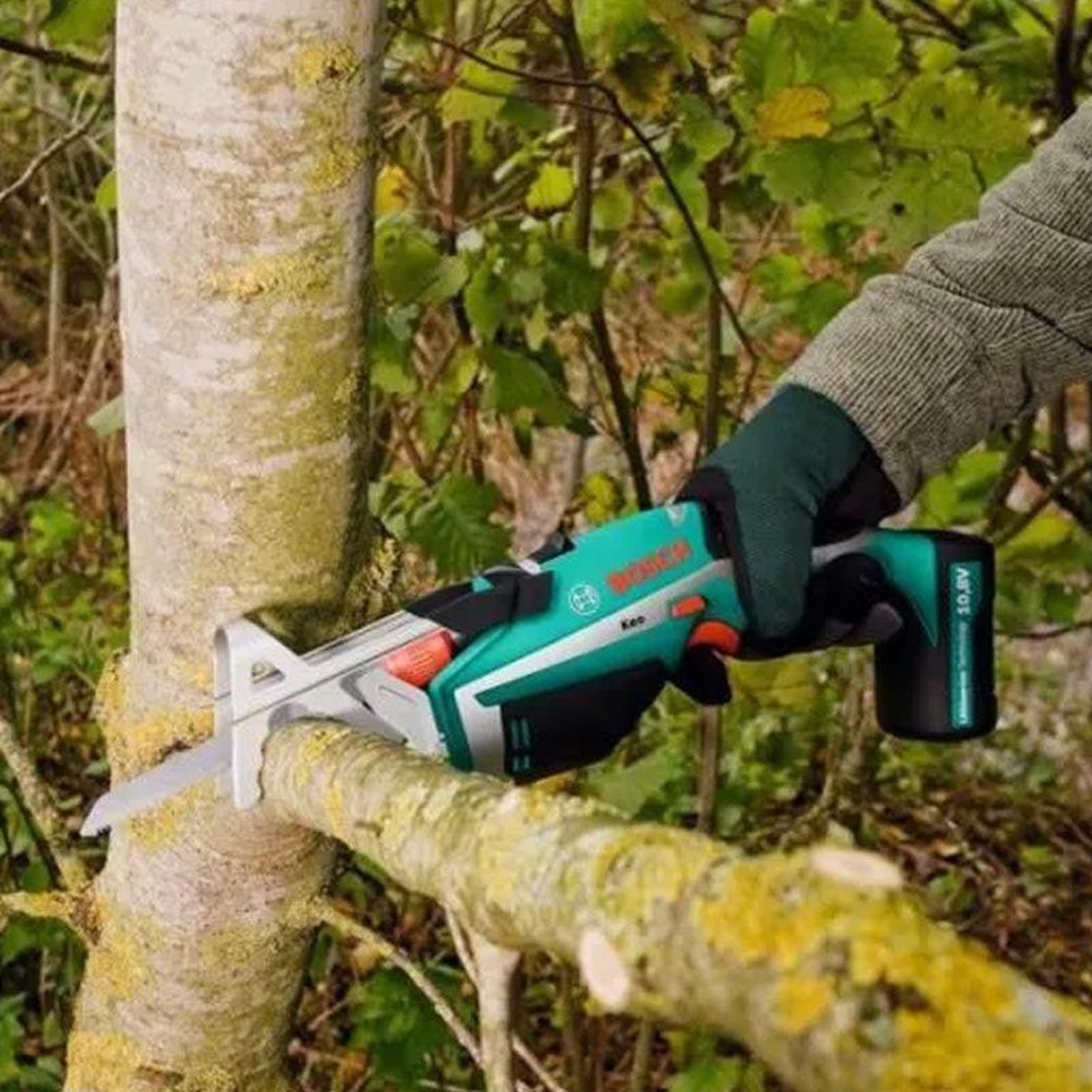 Voir la diapositive 2 : BOSCH Lot de 3 lames bois pour élagueur BOSCH Keo