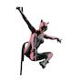 Voir la diapositive 2 : DC Direct Figurine DC Direct Catwoman en résine
