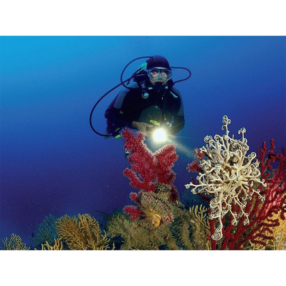 Smartbox Exploration plongée - Coffret Cadeau Sport & Aventure