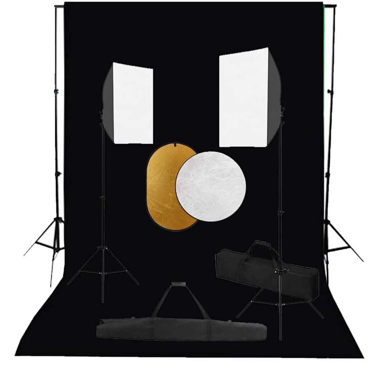 VIDAXL Kit de studio photo boîtes a lumiere toile de fond reflecteur