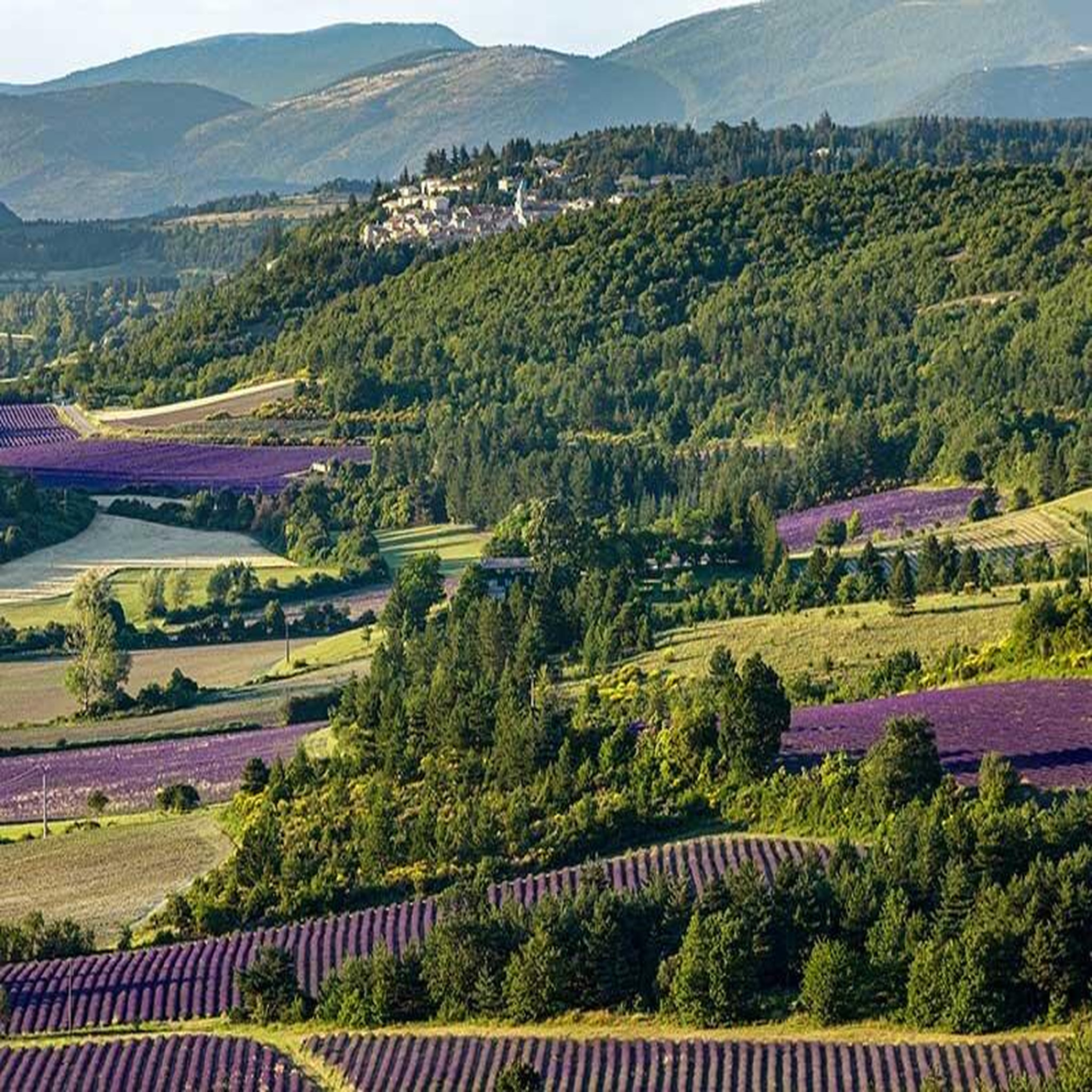 Voir la diapositive 2 : Smartbox Vol en hélicoptère de 20 min au-dessus des villages du Luberon - Coffret Cadeau Sport & Aventure