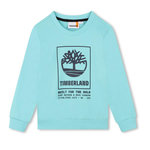 TIMBERLAND Sweat  Garçon Timberland T60075. Coloris disponibles : Bleu