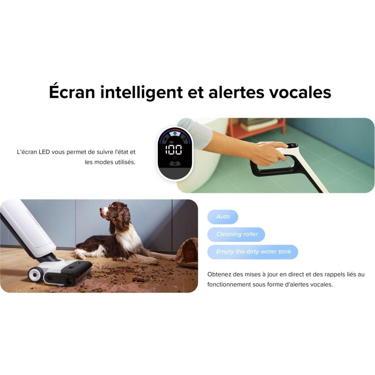 ROBOROCK Nettoyeur de sol Flexi Lite