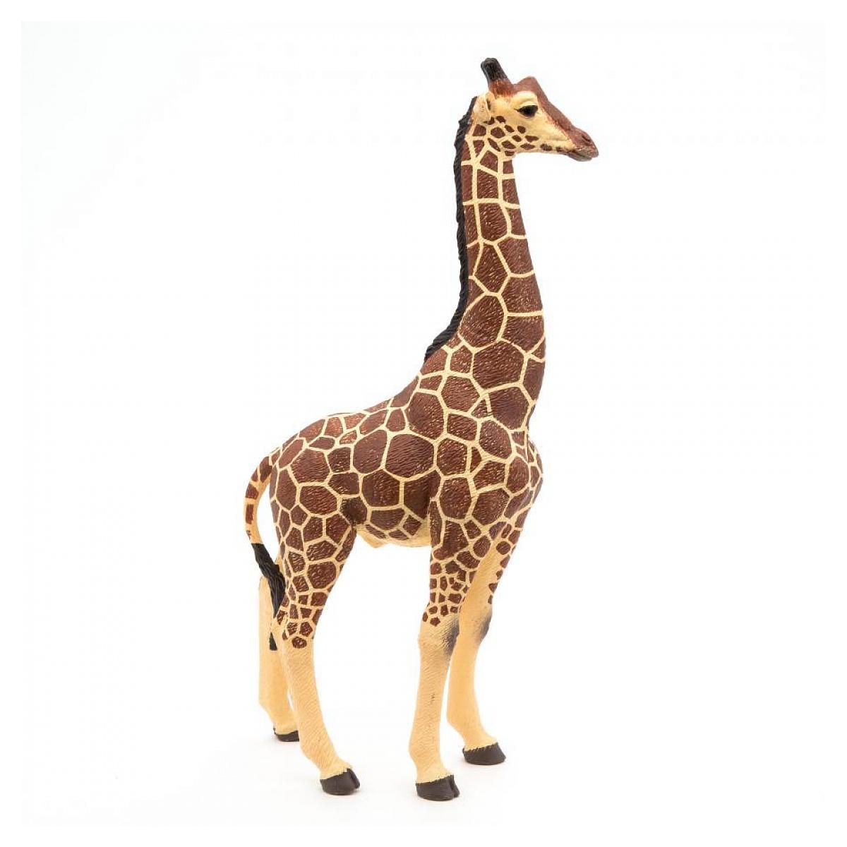 Papo 50149 girafe mâle figurine