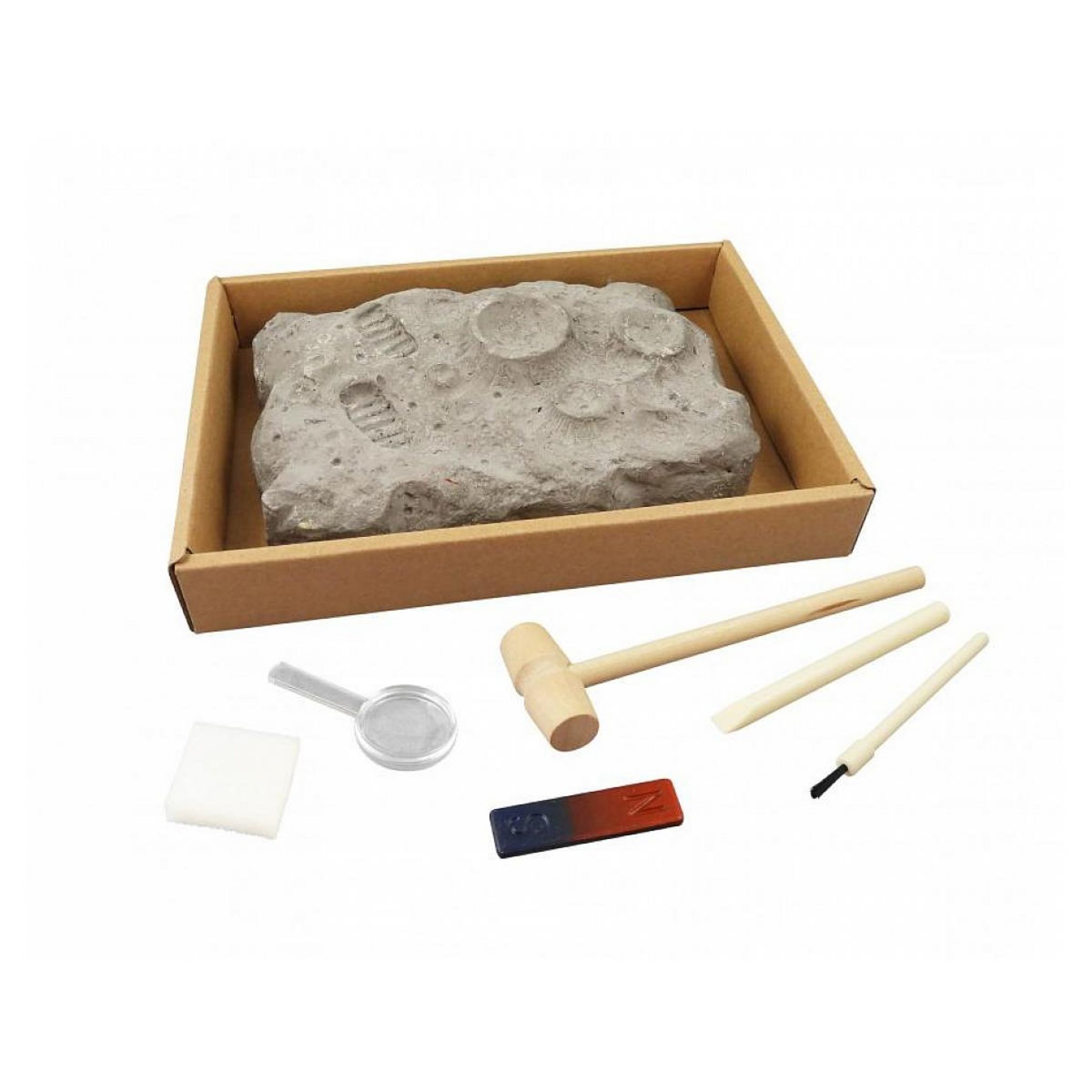 BUKI Pierres de l'Espace à Déterrer : Explorez des Météorites et Tectites Fascinantes