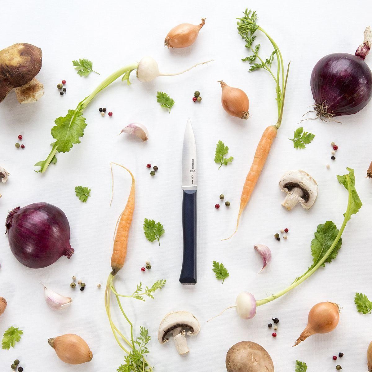 Opinel Couteau Intempora No225