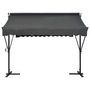 Voir la diapositive 2 : VIDAXL Auvent sur pied 300 x 300 cm Anthracite